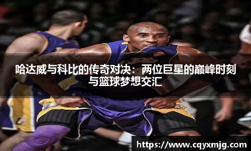哈达威与科比的传奇对决：两位巨星的巅峰时刻与篮球梦想交汇