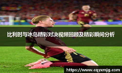 比利时与冰岛精彩对决视频回顾及精彩瞬间分析