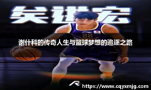 谢什科的传奇人生与篮球梦想的追逐之路